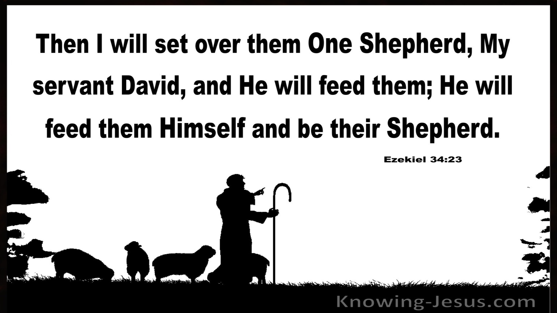 Ezekiel 34:23 He WIll Set Over Them One Shepherd (white)